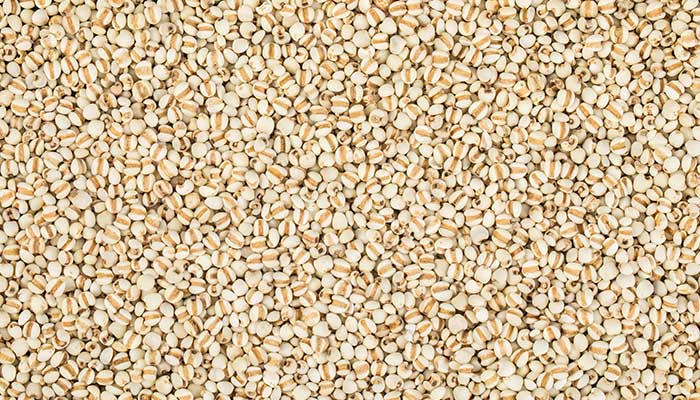 ޲�׵Ĺ�Ч������ ޲��ͼƬ